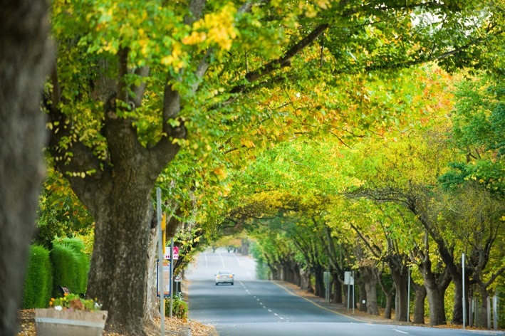 Which Hahndorf restuarants are open on Australia Day 2024?