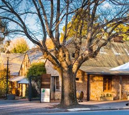 Thiele House Retreat