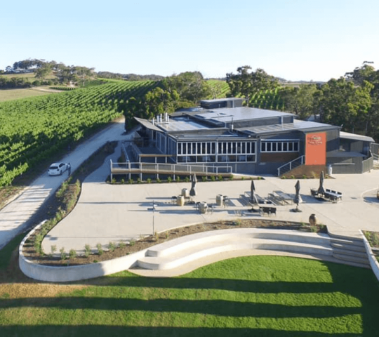 The Lane Vineyard