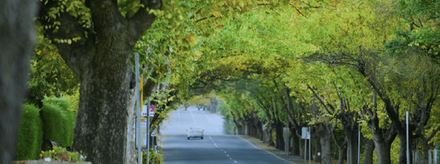 Top Picks for September School Holidays in Hahndorf