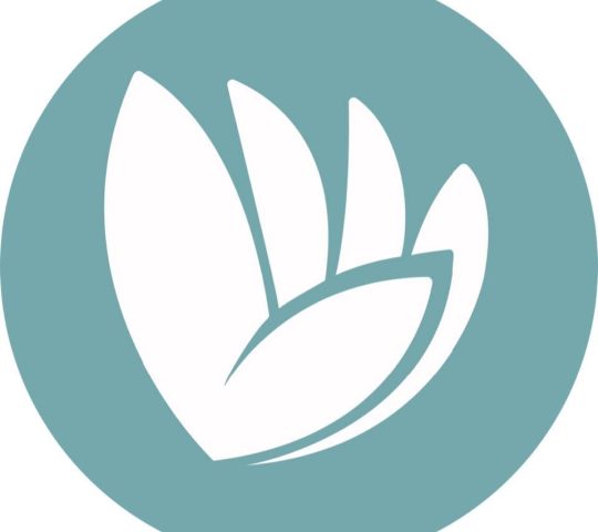 Salute – Better Solutions Salute – Better Solutions
