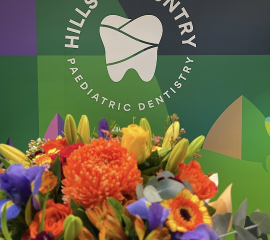 Hills & Country Paediatric Dentistry Hills & Country Paediatric Dentistry