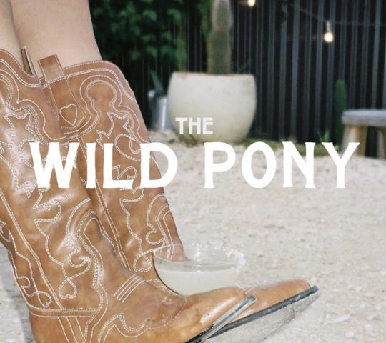 The Wild Pony